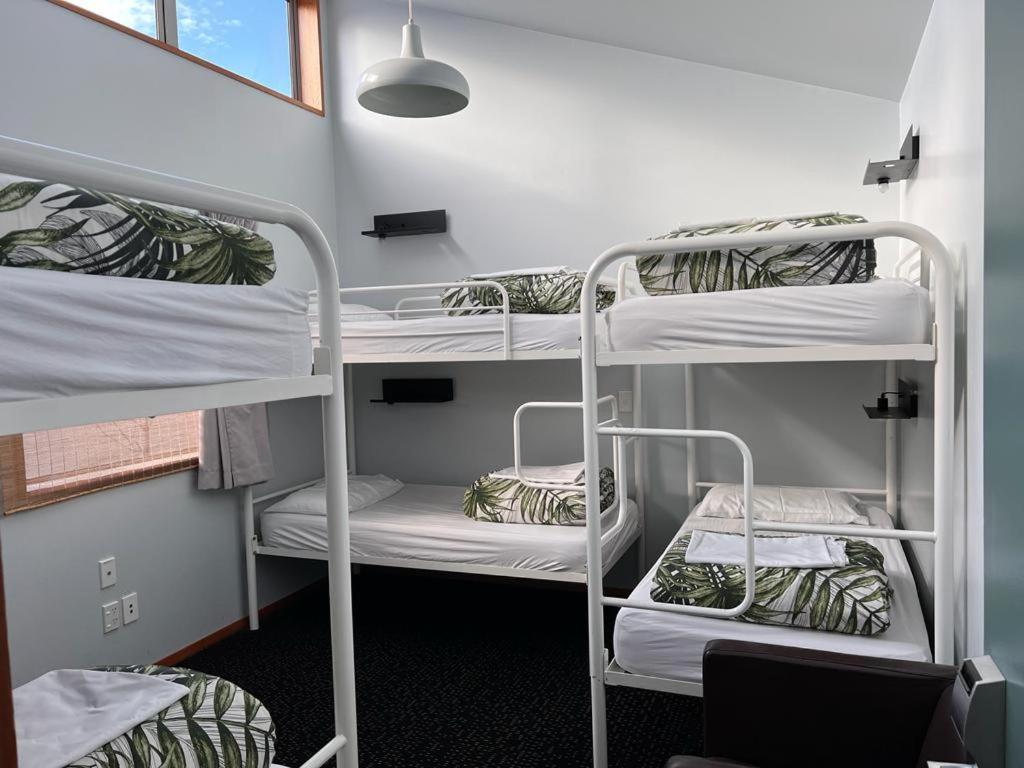 On Top Backpackers Dunedin Ngoại thất bức ảnh